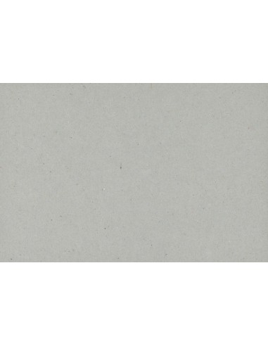 Cartone grigio "MyArte" 70x100 da 2 mm. c.a. - 27 pz.