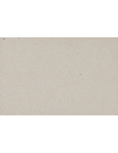 Cartone grigio "MyArte" 70x100 da 2,5 mm. c.a. - 20 pz.